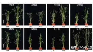 开云体育官网-关于	陾r萐hA盐諠査4A遚$猪?盰镪棑N纴7DO的信息